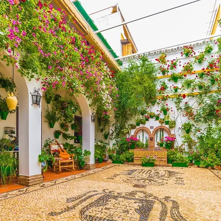 Arfe Junto Al Centro Apartamento *