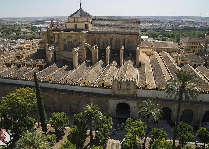 Arfe Junto Al Centro *